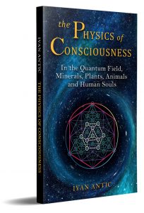The Physics of Consciousness